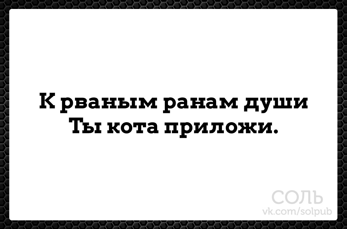 К рваным ранам души Ты кота приложи