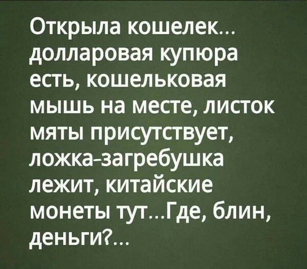 Открыла кошелек долларовая купюра есть кошельковая мышь на месте листок мяты присутствует ложка загребушка лежит китайские монеты тутГде блин деньги