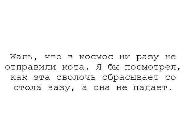 Жаль ЧТО В КОСМОС НИ разу не отправили кота Я бЫ посмотрел как ЭТа СВОЛОЧЬ сбрасывает СО стола вазу а она не падает