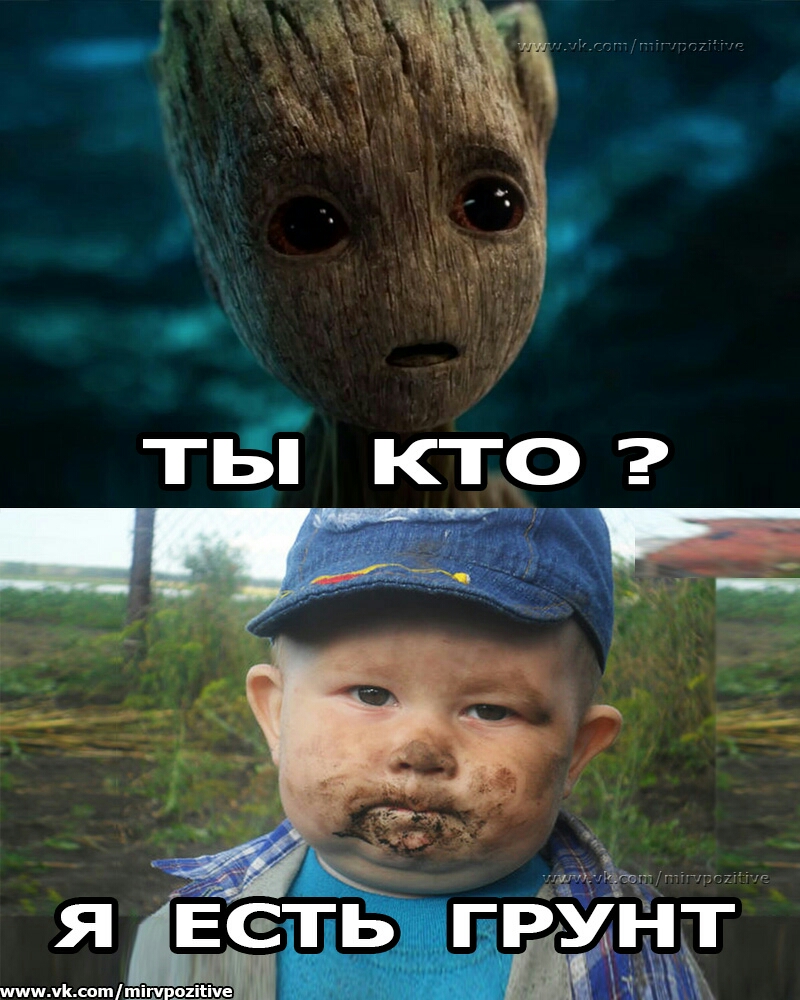 шипоотшігчрогіііче