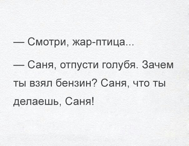 СМОТрИ жар птица Саня отпусти голубя Зачем ты взял бензин Саня что ты делаешь Саня
