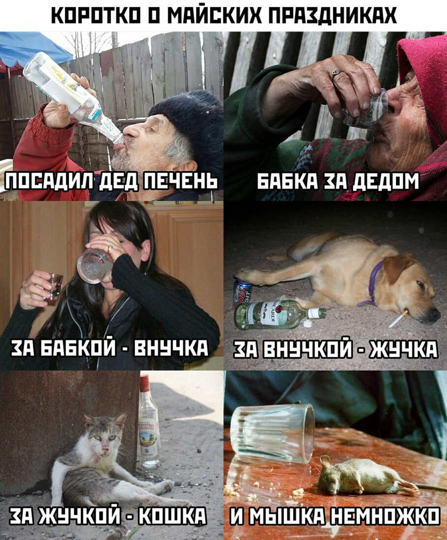 КПРПТКП П МдЙЕКИХ ПРАЗДНИКПХ Ё ь Щ и ЕЩЕПДИП ЁЕЧШЁ ЕдЕКд ЗддЕдпм ёё 7 ЗП ЕПЕКЧИ ВННЧКА