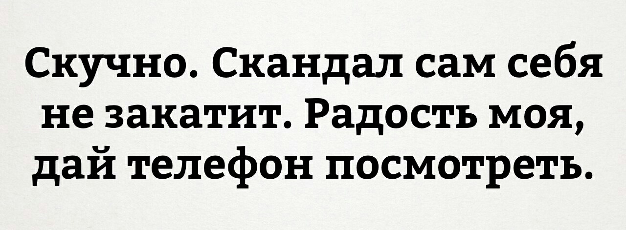 Скучно Скандал сам себя не закатит Радость моя дай телефон посмотреть