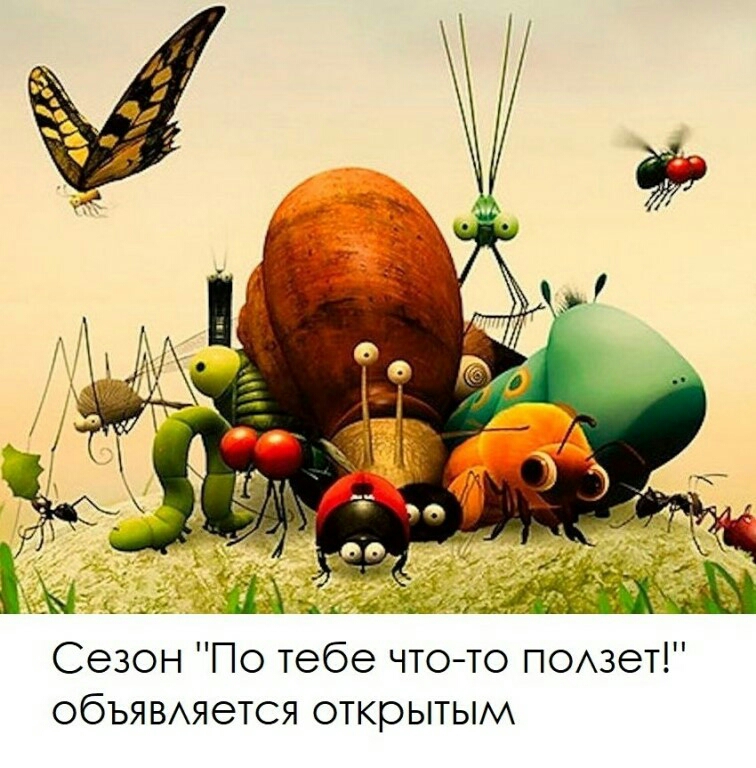 Сезон По тебе чтото ПОАзет обЬЯВАяется открытым