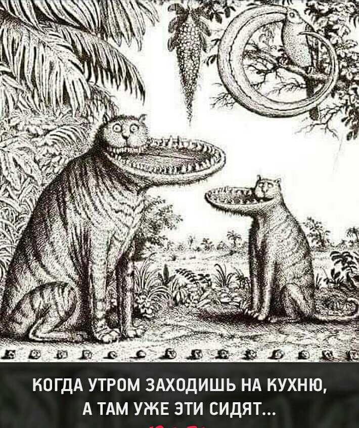 КОГДА УТРОМ ЗАХОДИШЬ НА КУХНЮ А ТАМ УЖЕ ЗТИ СИДЯТ