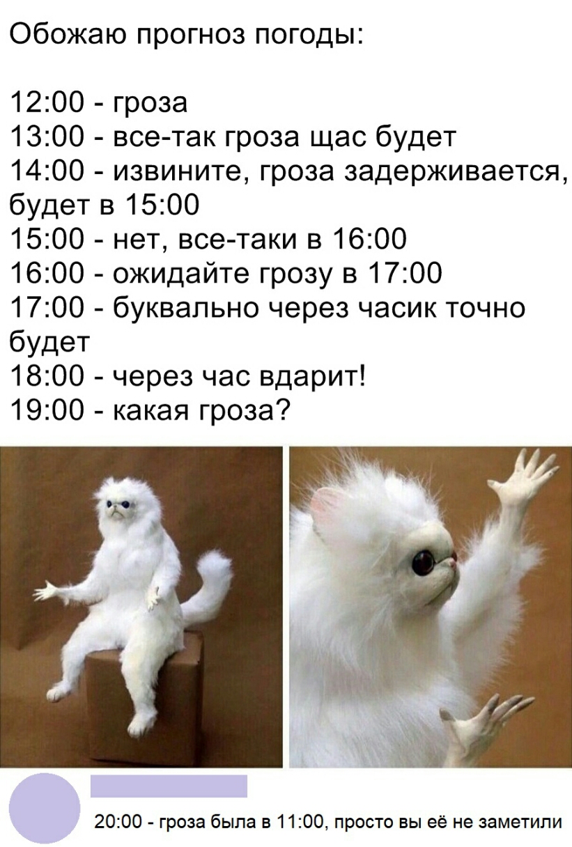 Обожаю прогноз погоды 1200 гроза 1300 все так гроза щас будет 1400 извините гроза задерживается будет в 1500 1500 нет все таки в 1600 1600 ожидайте грозу в 1700 1700 буквально через часик точно будет 1800 через час вдарит 1900 какая гроза 2000 гроза была в 1100 просто вы её не заметили