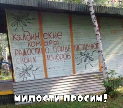 милом ти и им