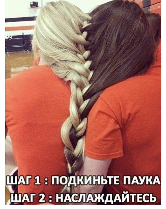 ШАГ 1 ПОДКИНЬТЕ ПАУКА ШАГ 2 НАСЛАЖДАЙТЕСЬ