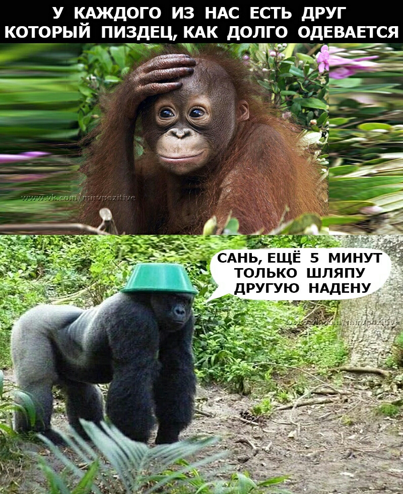 У КАКДОГО ИЗ НАС ЕСТЬ ДРУГ КОТОРЫЙ ПИЗДЕЦ КАК ДОЛГО ОДЕВАЕТСЯ ТОЛЬКО ШЛЯПУ ДРУГУЮ НАДЕНУ