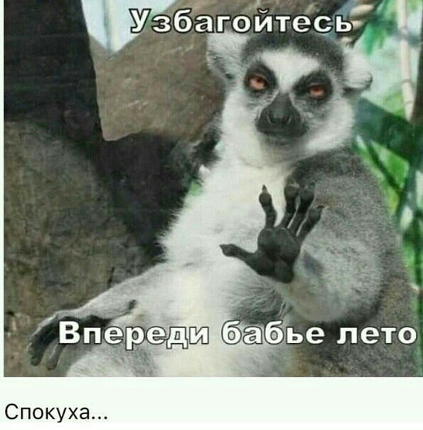 Спокуха