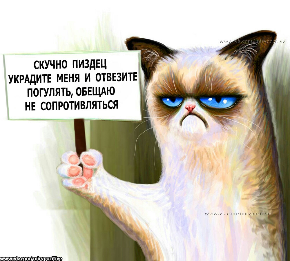 СКУЧНО ПИЗДЕЦ УКРАДИТЕ МЕНЯ И ОТВЕЗИТЕ ПОГУЛЯТЬ ОБЕЩАЮ НЕ СОПРОТИВЛЯТЬСЯ ш1соп Пігч о1іііче