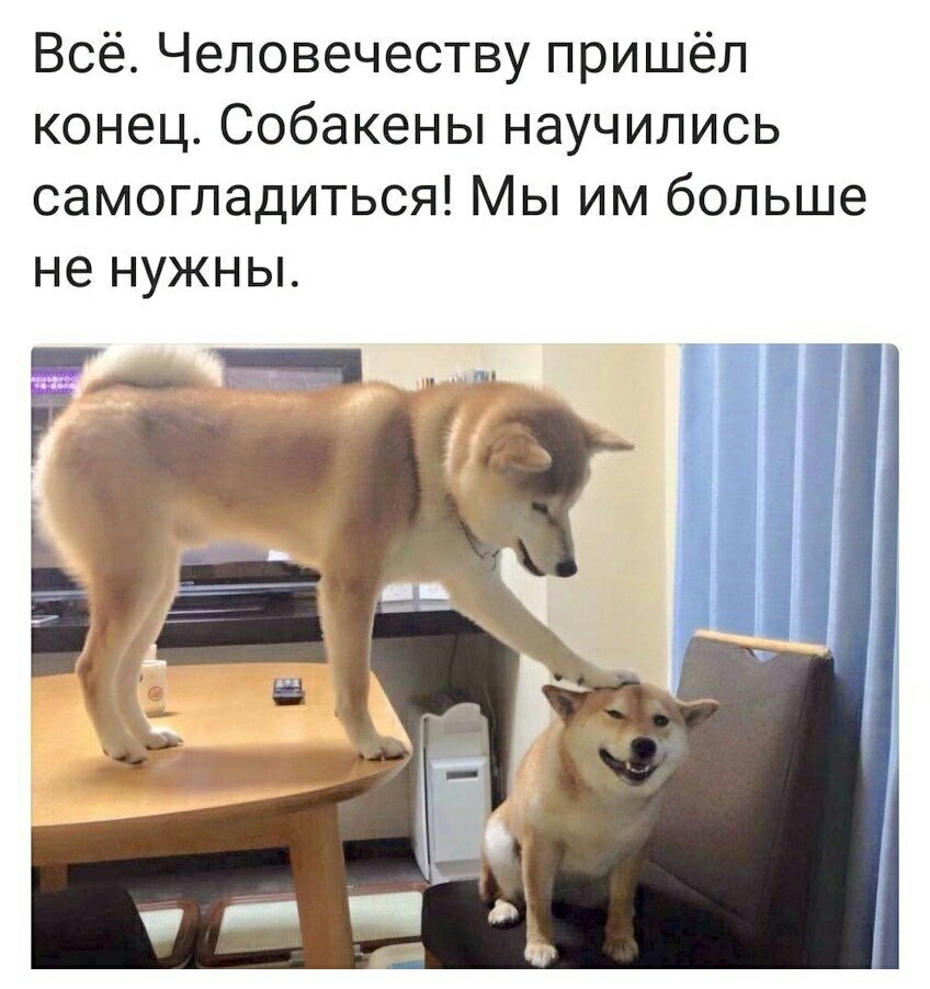 Всё Человечеству пришёл конец Собакены научились самогладиться Мы им больше не нужны