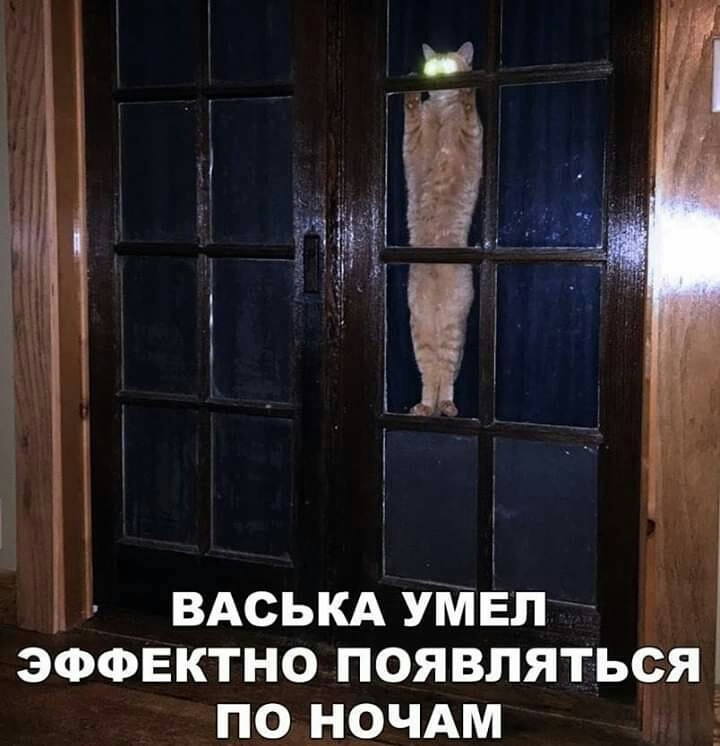 Я 1 _ 1 вдськд умел _ ЭФФЕКТНО появляться по ночдм _
