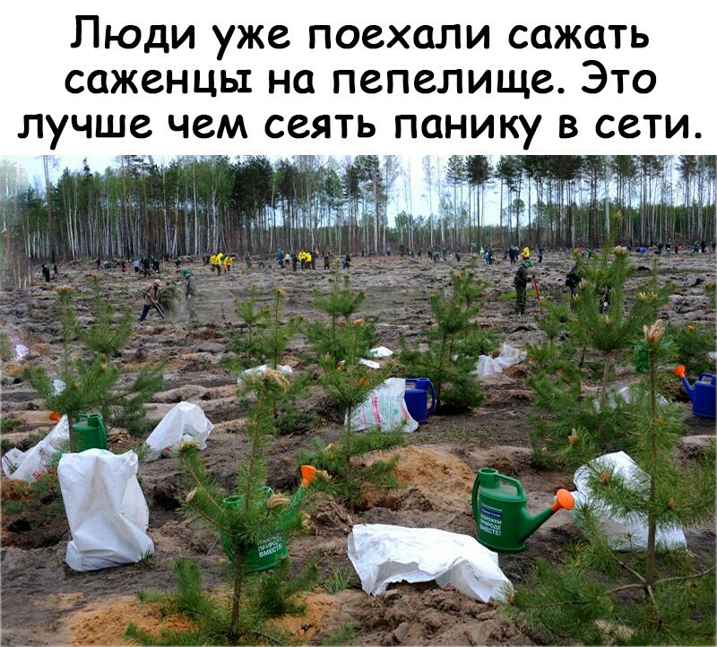 ЛЮДИ уже ПОСХОЛИ СОЖОТЬ СОЖСНЦЫ НО ПСПЗЛИЩС ЭТО ЛУЧШЕ ЧСМ ССЯТЬ ПОНИКУ В СЕТИ