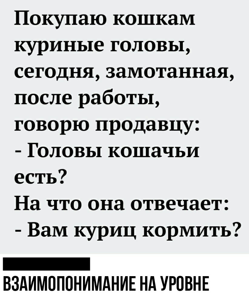 Покупаю кошкам куриные головы сегодня замотанная после работы говорю продавцу Головы кошачьи есть На что она отвечает Вам куриц кормить _ ВЗАИМОПОНИМАНИЕ НА УРОВНЕ