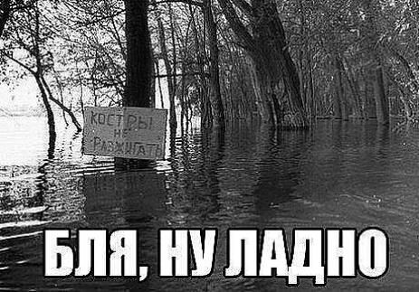 тнв видна