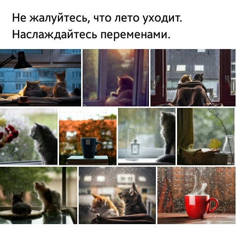Не жалуйтесь что лето уходит Наслаждайтесь переменами