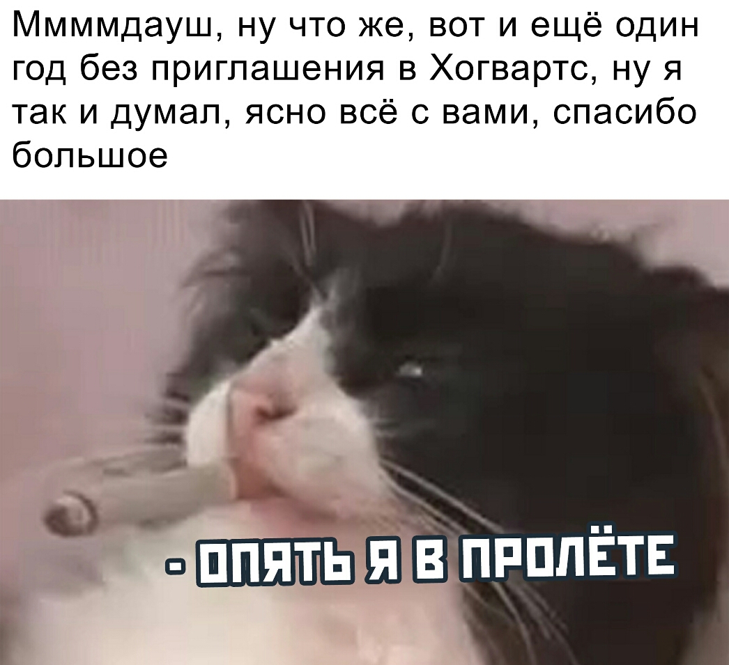 Ммммдауш ну что же вот и ещё один год без приглашения в Хогвартс ну я так и думал ясно всё с вами спасибо большое о _ щин _ 21 ВлппппЁтв
