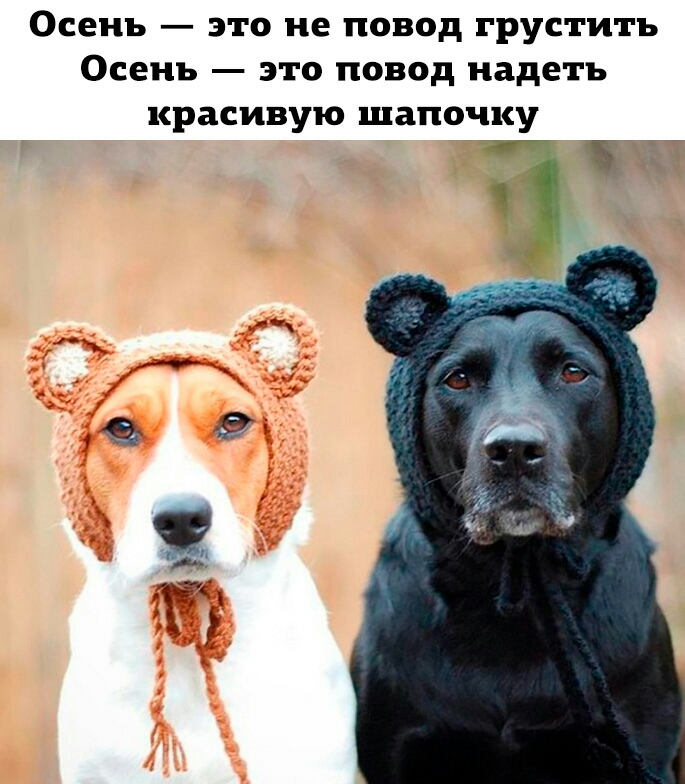 Осень это не повод грустить Осень это повод надеть красивую шапочку
