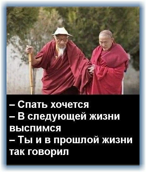 Спать хочется В следующей жизни выспимся Ты и в прошлой жизни так говорил