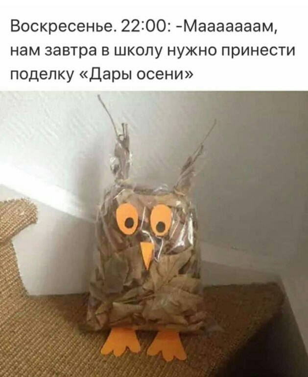Воскресенье 2200 Мааааааам нам завтра в школу нужно принести поделку Дары осени