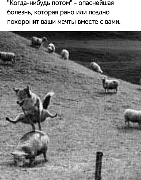 Когда нибудь потом опаснейшая болезнь которая рано или поздно похоронит ваши мечты вмесге с вами