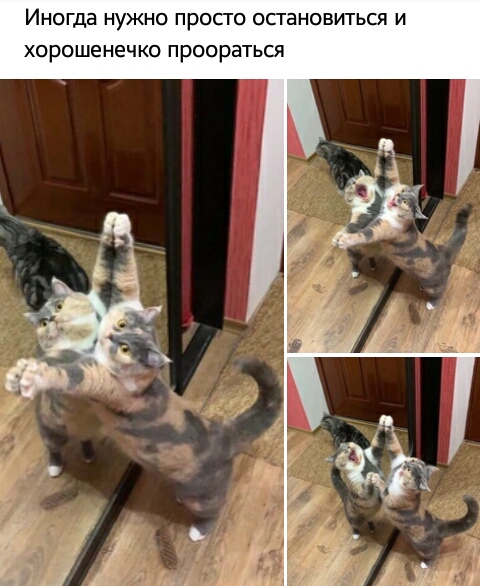 ИНОГДЭ НУЖНО ПРОСГО ОСГЭНОВИТЬСЯ И хорошенечко ПРООРЭТЬСЯ