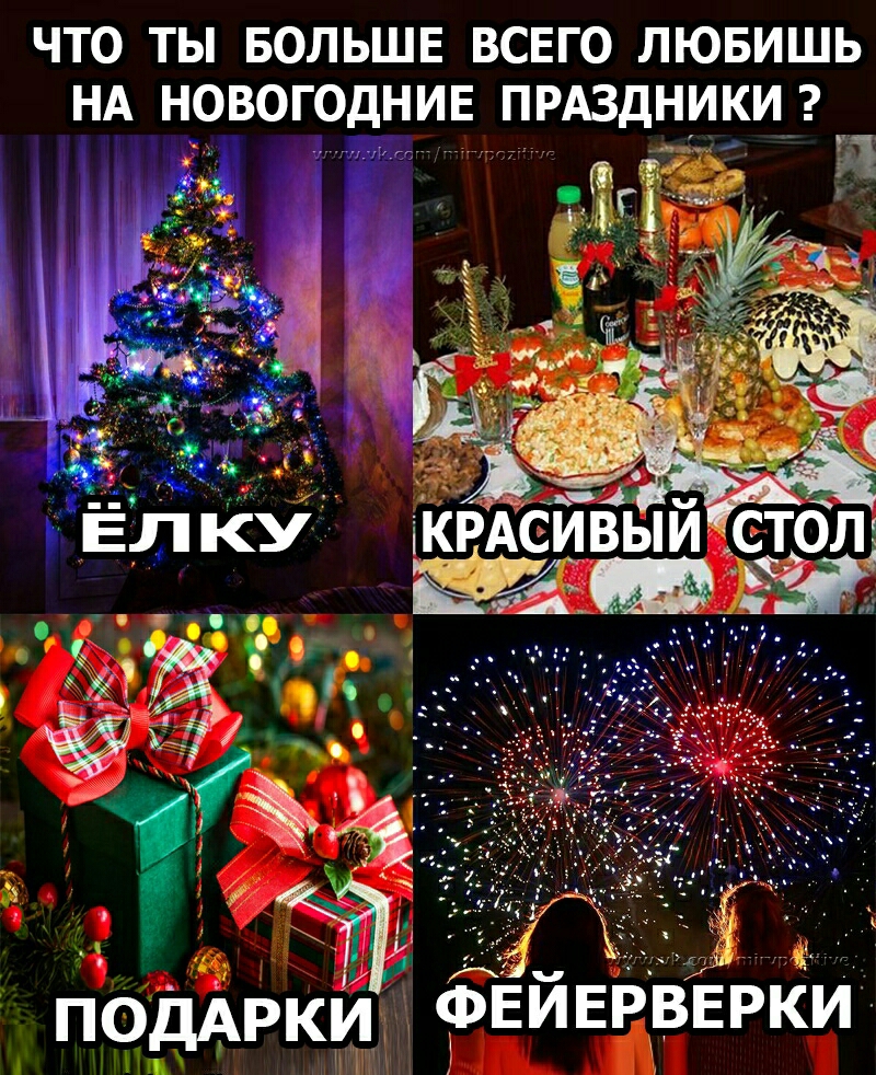ЧТО ТЫ БОЛЬШЕ ВСЕГО ЛЮБИШЬ НА НОВОГОДНИЕ ПРАЗДНИКИ