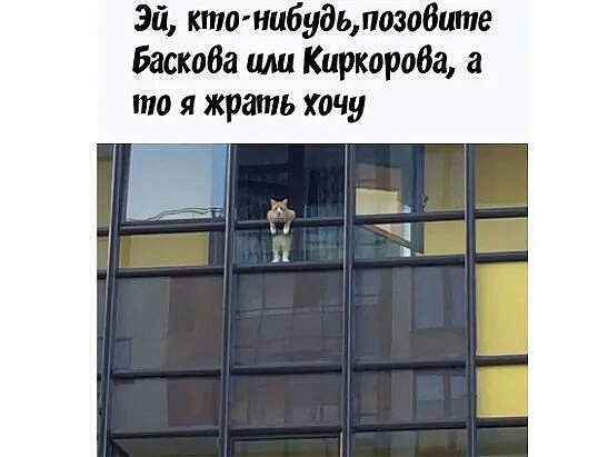 эп кто нибудьлозоВите Баскоба иш Киркорова а то я жрать хочу Ак