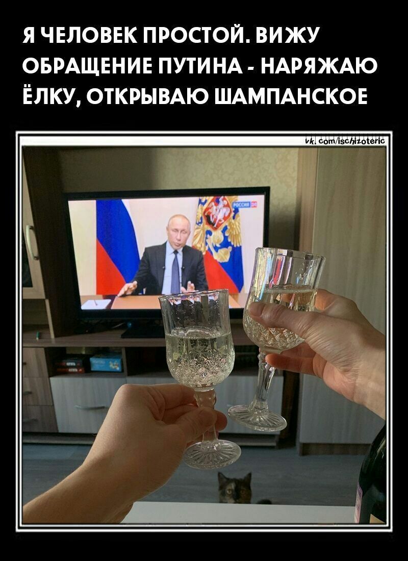 Я ЧЕЛОВЕК ПРОСТОЙ ВИЖУ ОБРАЩЕНИЕ ПУТИНА НАРЯЖАЮ ЕЛКУ ОТКРЫВАЮ ШАМПАНСКОЕ