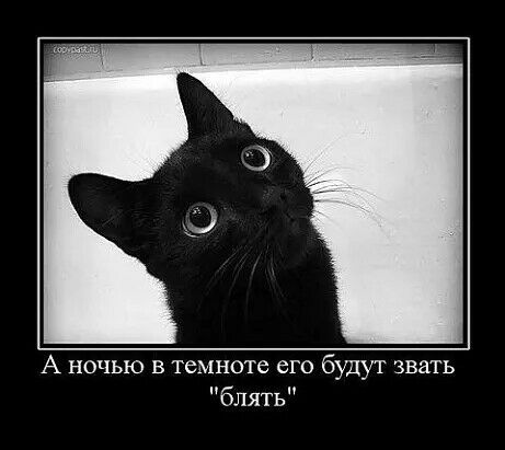 А ночью в темноте его будут звать блять
