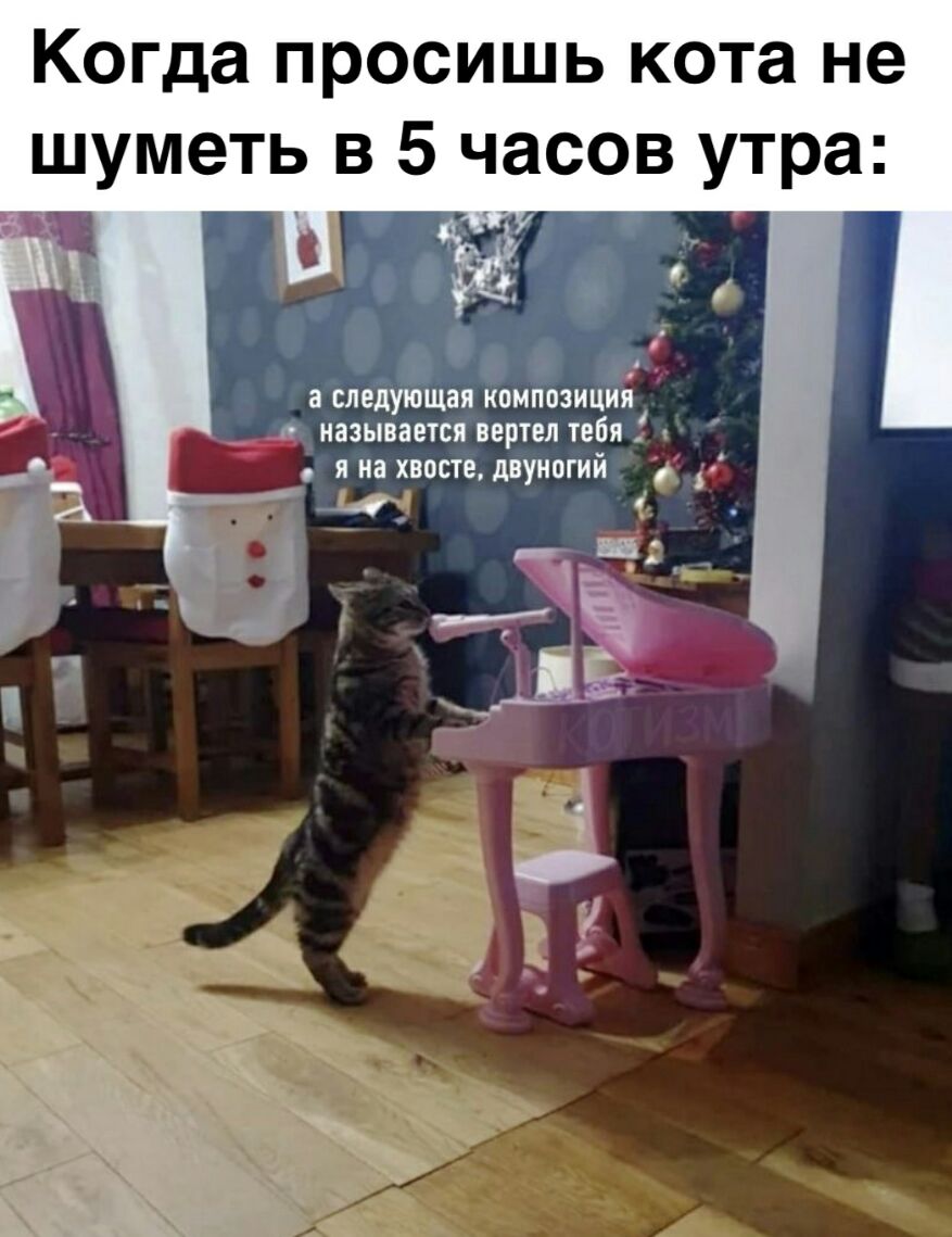 Когда просишь кота не шуметь в 5 часов утра а следующая КОМПОЗИЦИЯ п называется ВЕРТЕЛ ТЕБЯ Я на ХВОСТО дВУНОГИй д _ М _щм