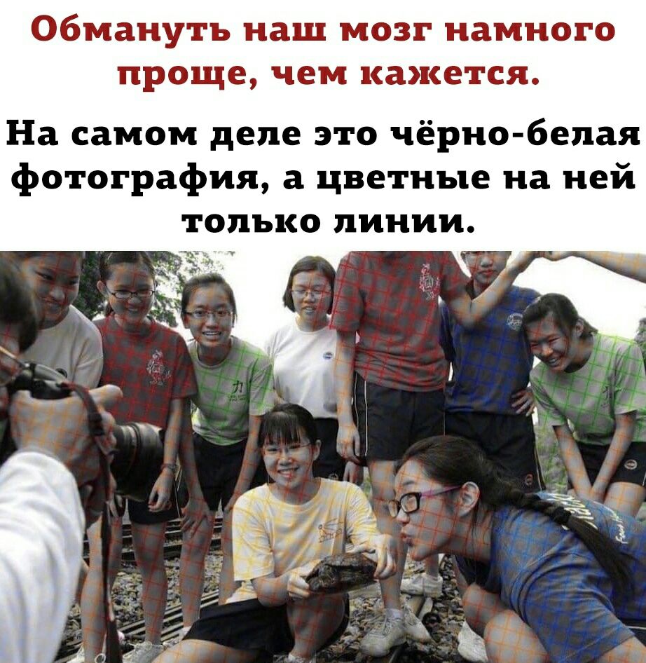 Обмануть наш мозг намного проще чем кажется На самом деле это чёрно белая фотография а цветные на ней только линии
