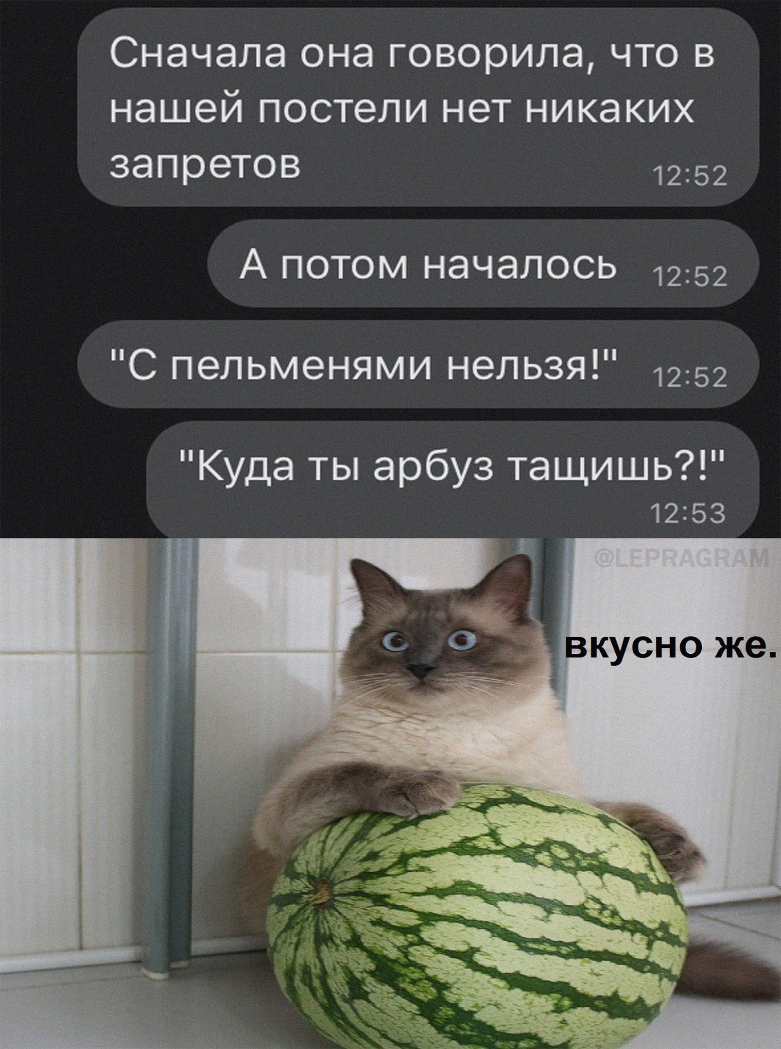 Сначала она говорила что в нашей постели нет никаких запретов 1252 А потом началось 1252 С пельменями нельзя 1252 Куда ты арбуз тащишь 1253