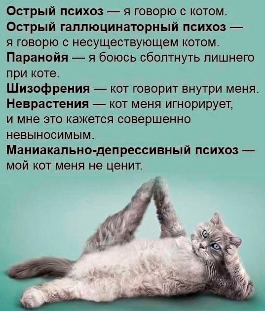 Острый психоз я говорю с котом Острый гаппюцинаторный психоз я говорю с несуществующем котом Паранойя я боюсь сбоптнуть лишнего при коте Шизофрения кот говорит внутри меня Ненрастения кот меня игнорирует и мне это кажется совершенно невыносимым Маниакально депрессивный психоз мой кот меня не ценит