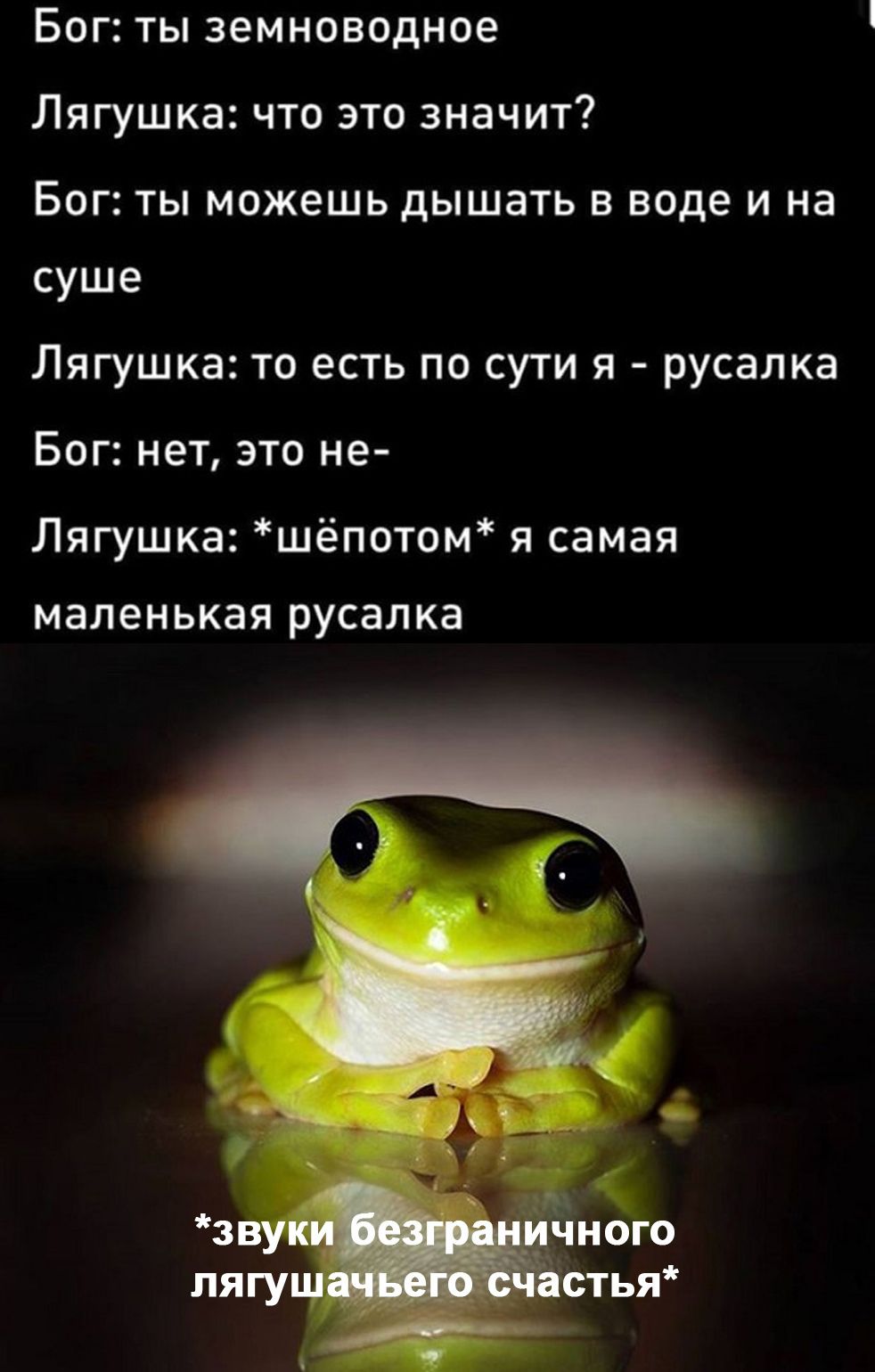 Бог ты земноводное Лягушка что это значит Бог ты можешь дышать в воде и на суше Лягушка то есть по сути я русалка Бог нет это не Лягушка шёпотом я самая маленькая русалка