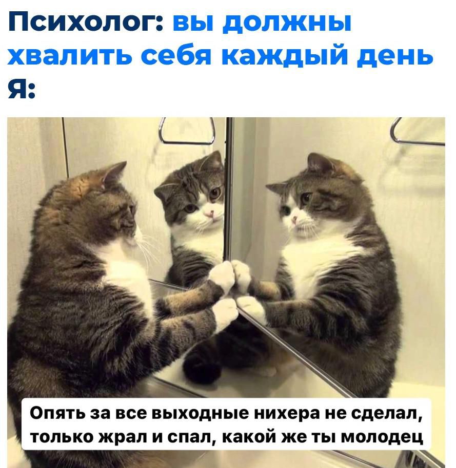 Психолог вы должны хвалить себя каждый день Я ОПЯТЬ за все выходные нихера не сделал ТОЛЬКО жрал И спал какой же ТЫ МОЛОДЕЦ _ Щ