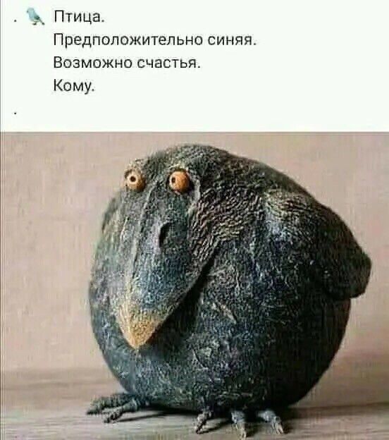 _ Птица Предположительно синяя ВОЗМОЖНО СЧБСТЬЯ Кому