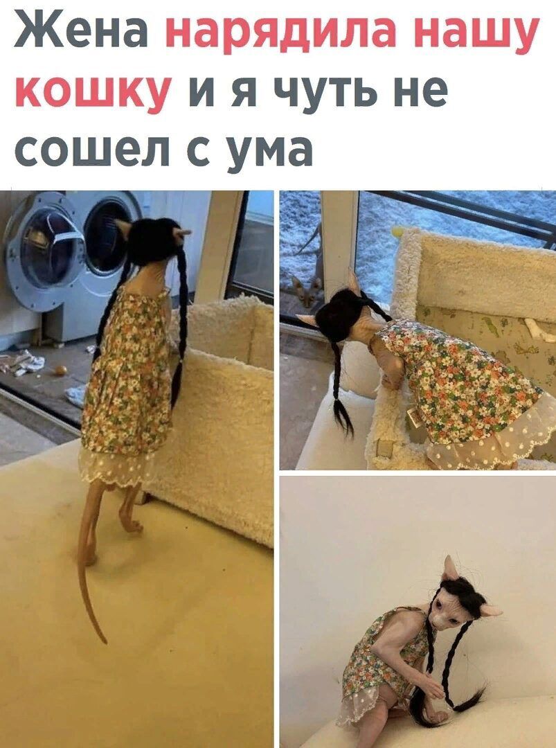 Жена и я чуть не сошел с ума