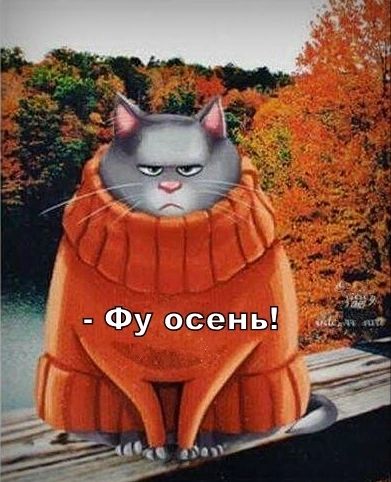 Фу осень 4 ИЁ ЁС 1