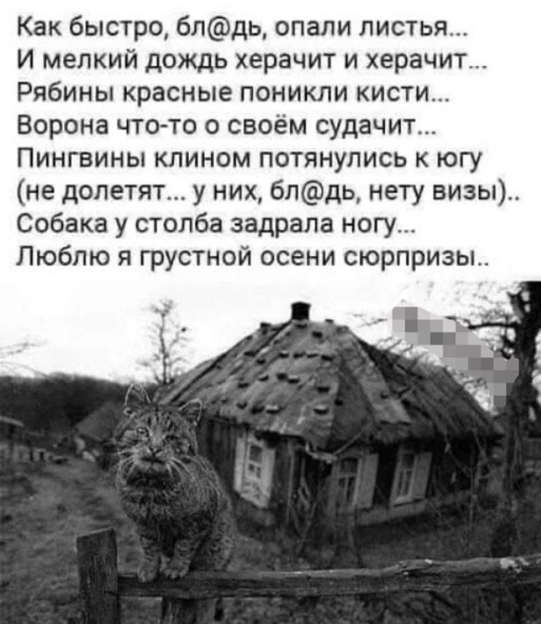 Как быстро блдь спали листья И мелкий дождь херачит и херачит Рябины красные поникпи кисти Ворона что то о своём судачит Пингвины клином потянулись югу не долетят у них бпдь нету визы Собака у столба задрала ногу Люблю я грустной осени сюрпризы