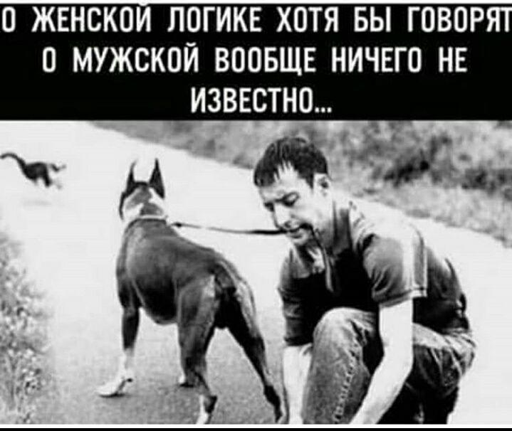 О ЖЕНСКОМ ЛОГИКЕ ХОТЯ БЫ ГОВОР О МУЖСКОЙ ВООБЩЕ НИЧЕГО НЕ ИЗВЕСТНО