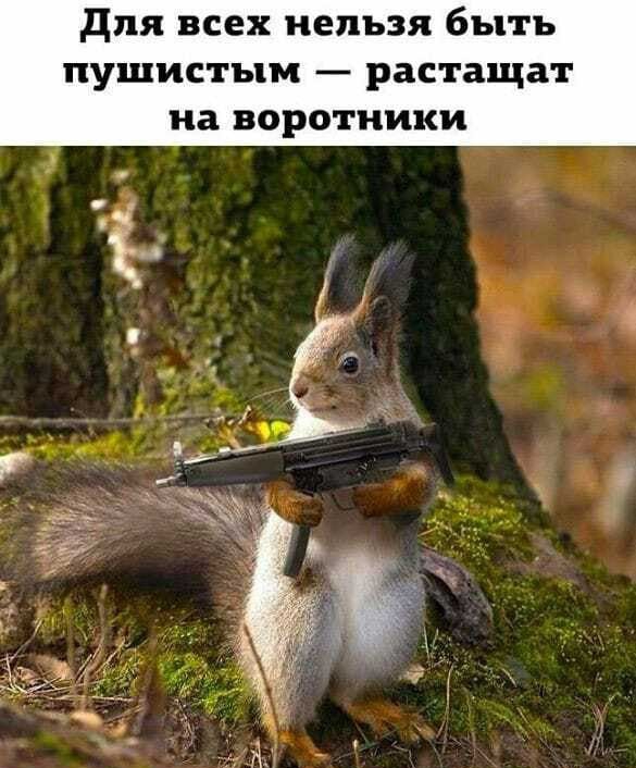 для всех нельзя быть пушистым растащат на воротники