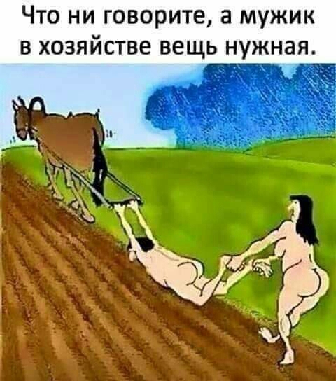 Что ни говорите а мужик в хозяйстве вещь нужная