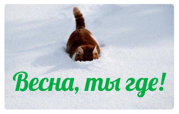 Весна ты ще