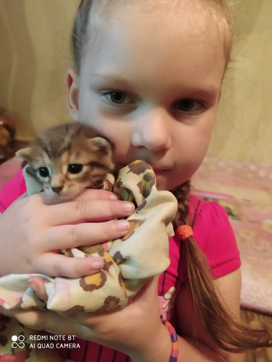 со кепмшоте ат Х А1 цим сдмекд