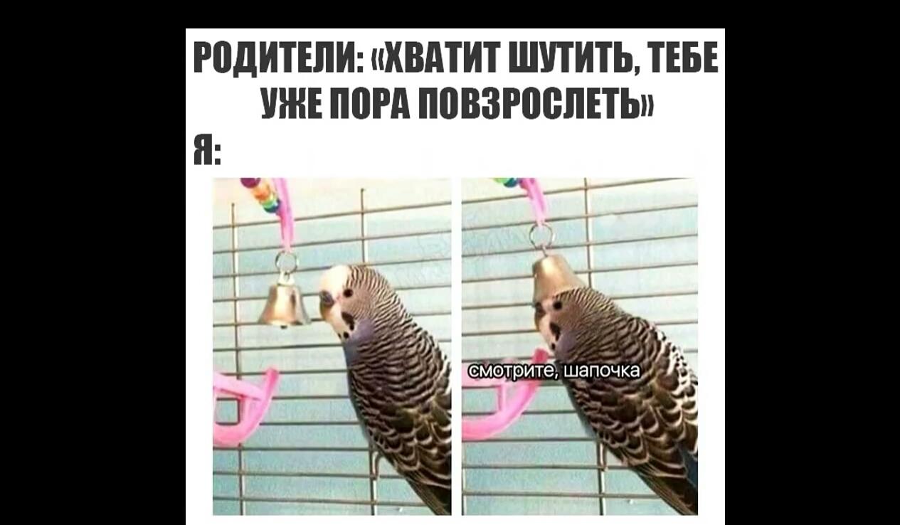 РВДИТЕЛИ ХВАТИТ ШПИТЬ ТЕБЕ УЖЕ П0Рд ППВЗРПВЛЕТЫ