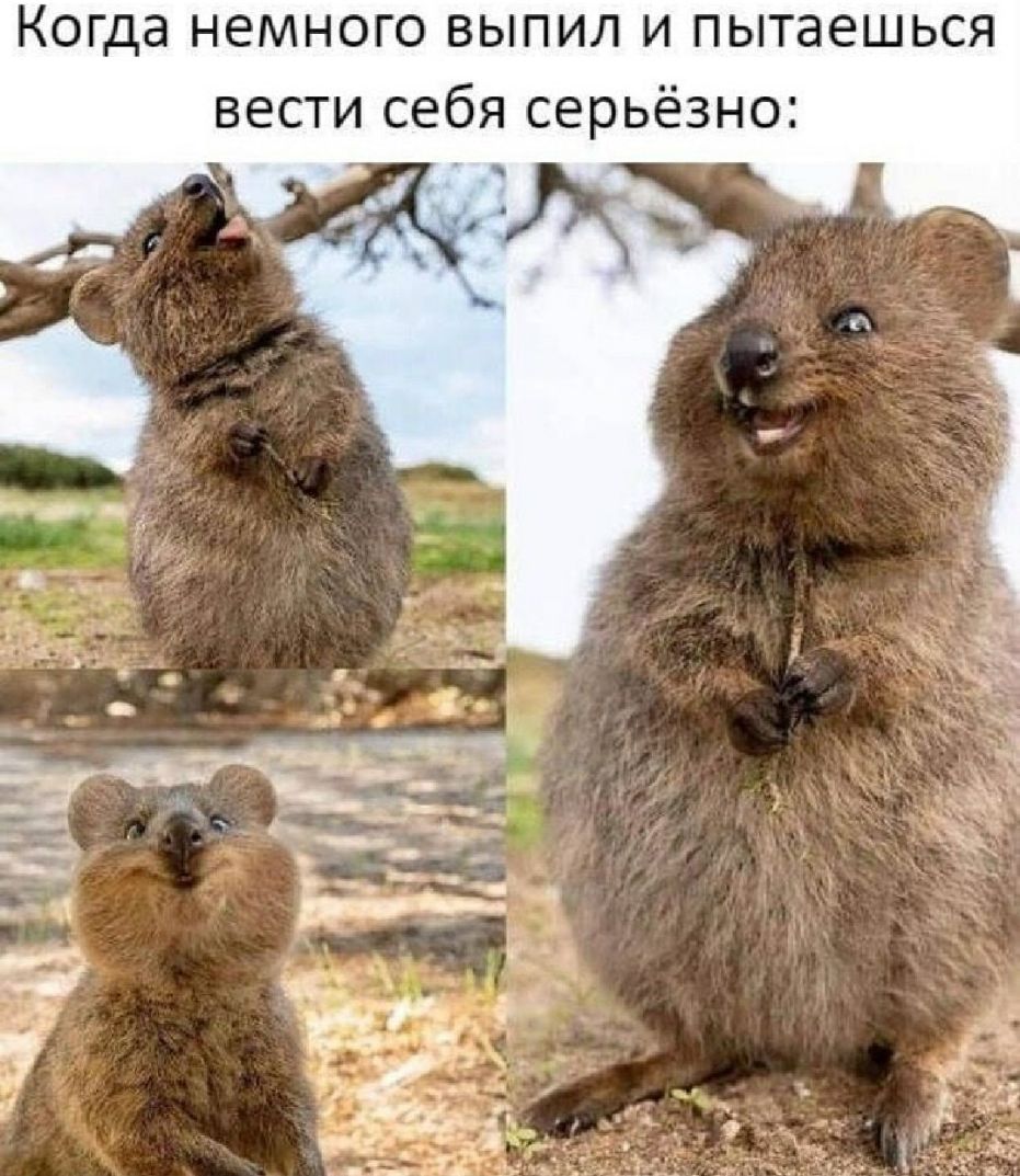Когда немного выпил и пытаешься вести себя серьёзно