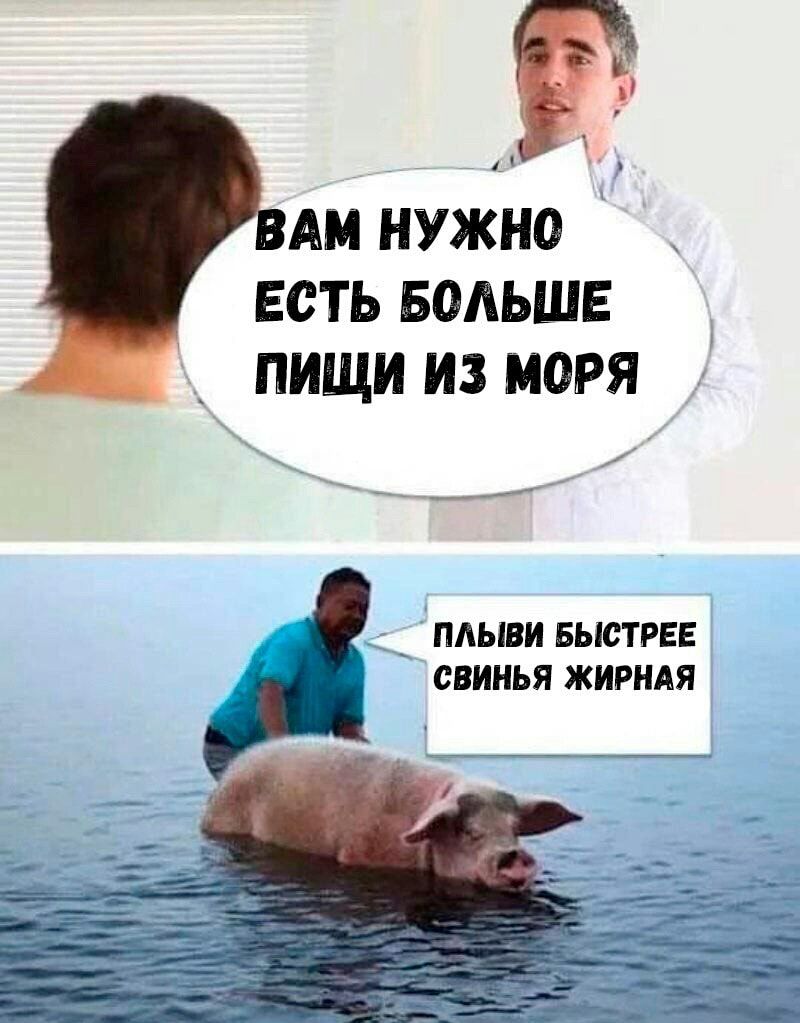 АМ НУЖНО ЕСТЬ БОАЬШЕ ПИЩИ ИЗ МОРЯ ПАЫВИ БЫСТРЕЕ СВИНЬЯ ЖИРНАЯ