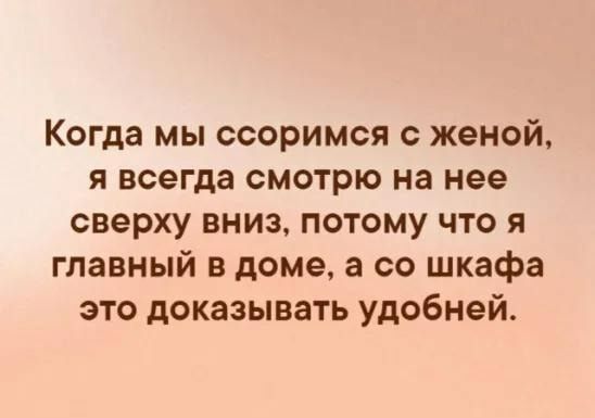 Когда мы ссоримся с женой я всегда смотрю на нее сверху вниз потому что я главный в доме а со шкафа это доказывать удобней